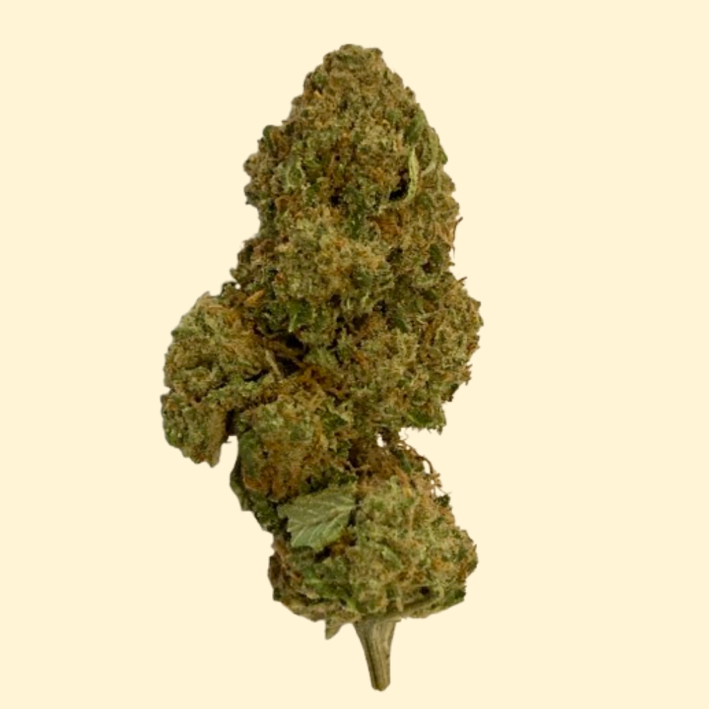 Harlequin flores de cbd